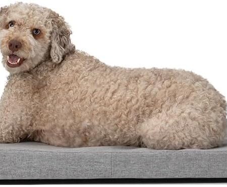 Dog Bed I Water Resistant Pet Bed I Removable Outer Cover I Grey Comfortable Dog Bed with Headrest I Grey (Intermediate)
