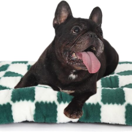Small Dog Bed for Crate 24x18 Washable,for Puppy with Anti-Slip Bottom,Comfy Jacquard Shaggy Plush Kennel Pad for Small Dog Breeds Pet Sleeping Mat,Green Checks