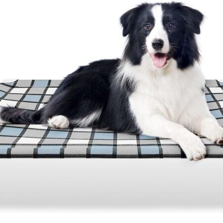 Outdoor Raised Dog Bed Outdoor Dogs Bed Lifted Pet Bed Dog Cot for Medium Pet Taste Life, Start with A Pet Bed 34'' x 26'' x 5''