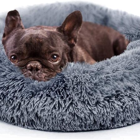 Calming Dog Beds for Small Dogs Clearance Washable Fluffy Luxury Anti-Slip, Waterproof Base Donut Pet Bed with Fur Blanket