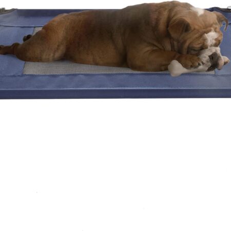 Dog Bed - 30x24-Inch Portable Pet Bed with Non-Slip Feet - Indoor/Outdoor Dog Cot or Puppy Bed for Pets up to 50lbs by (Blue)