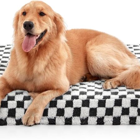 Dog Bed for Large Dogs, XLarge Orthopedic Dog Bed with Removable Washable Cover, Cute Modern Plush & Memory Egg Crate Foam Dog Bed, 42 x 28 inch, Grey