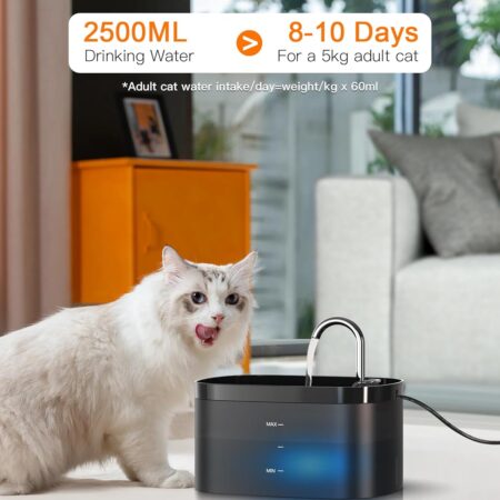 71k0QLvzUNL._AC_SL1500_.jpg