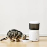 Automatic Feeder for Cats and Dogs with Speed & Portion Control, 4L Capacity, White