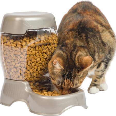 Pet Cafe Feeder Dog and Cat Feeder Pearlescent Colors 3 Sizes, Made in USA